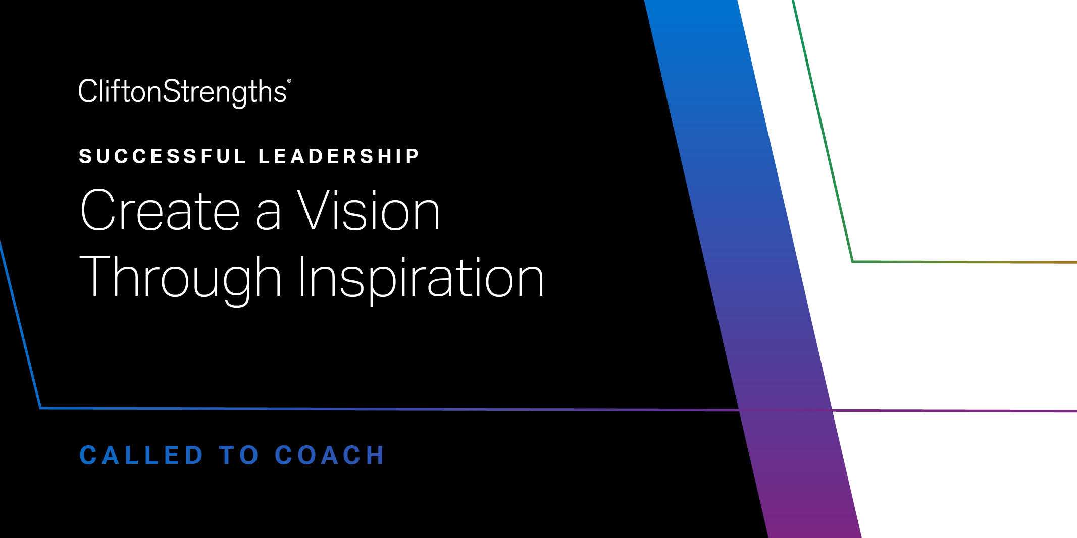 Leadership Roles: 12 EFFECTIVE LEADERSHIP ROLES - Visioning