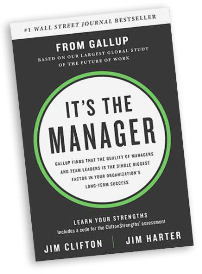 It's the Manager book cover