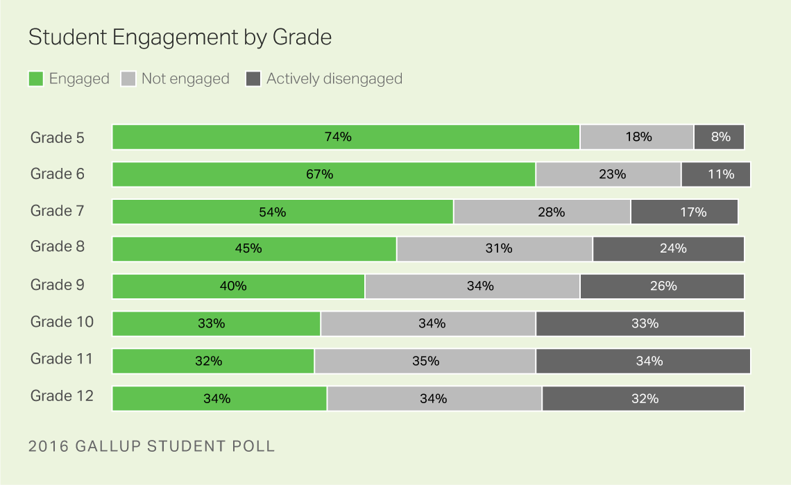 student engagement by grade level.