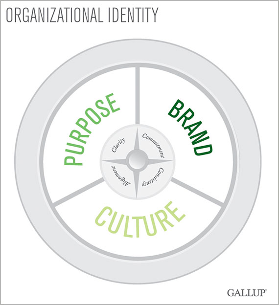 organizational identity