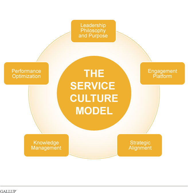 The Service Culture Model