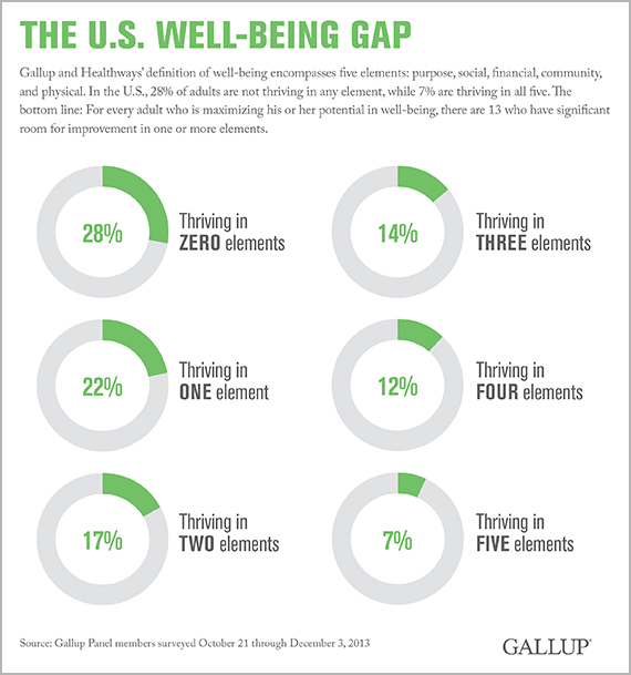 The U.S. Well-Being Gap