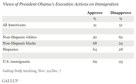 Views of President Obama's Executive Actions on Immigration