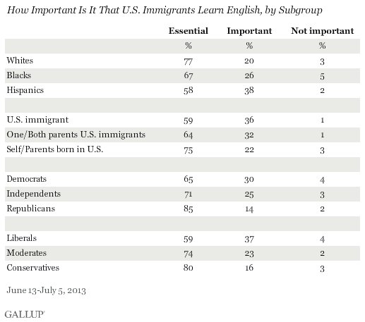 How Important Is It That U.S. Immigrants Learn English, by Subgroup, June-July 2013 results