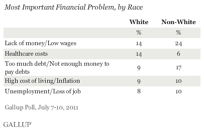Most Important Financial Problem, by Race