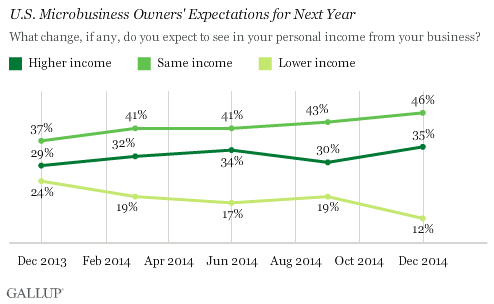 U.S. Microbusiness Owners' Expectations for Next Year