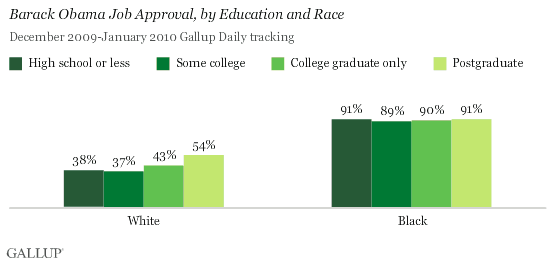 Barack Obama Job Approval, by Education and Race