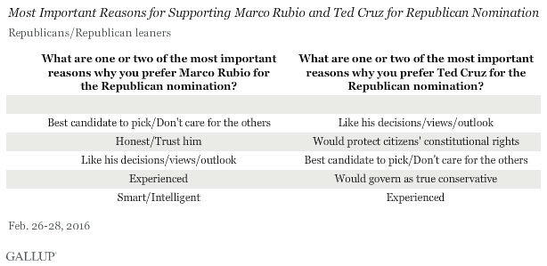 Most Important Reasons for Supporting Marco Rubio and Ted Cruz for Republican Nomination, February 2016