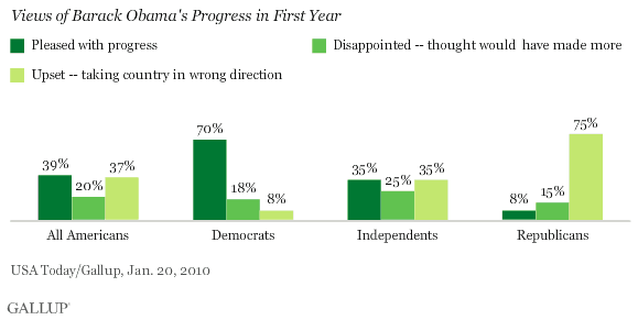 Views of Barack Obama's Progress in His First Year, by Political Party