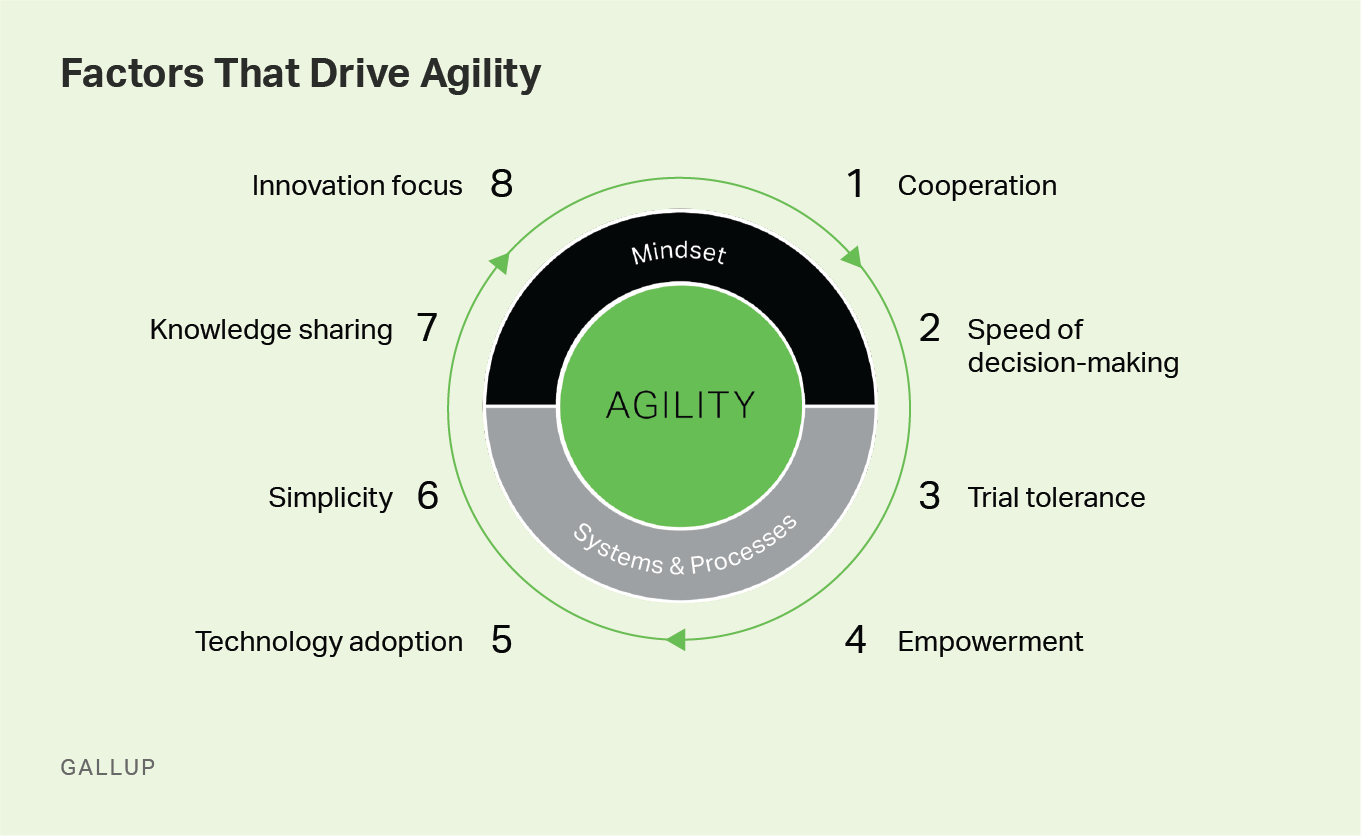 Factors That Drive Agility.