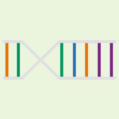 CliftonStrengths DNA Strand image.