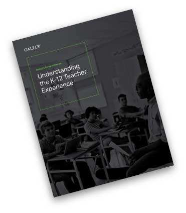 Image of the cover of Understanding the K-12 Teacher Experience