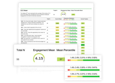 Collected screenshots of the results of the Gallup employee engagement survey