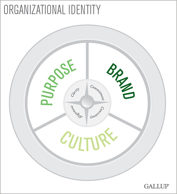 Culture Alignment A Company s Purpose Has to Be a Lot More Than Words