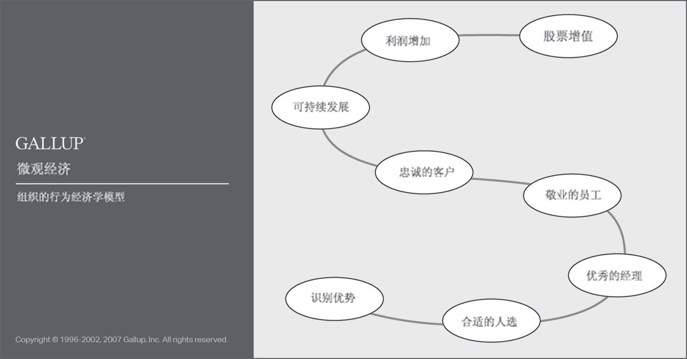 盖洛普咨询有限公司