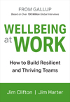 Gallup Wellbeing at Work book cover