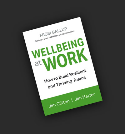 Wellbeing at Work book cover