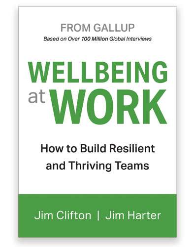 Wellbeing at Work Book Cover