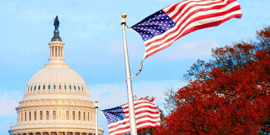 U.S. flags flying in front of the U.S. Capitol