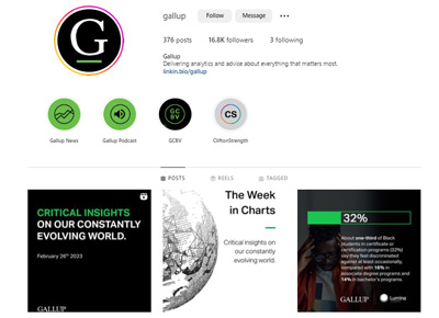 Screenshot of Gallup's Instagram page