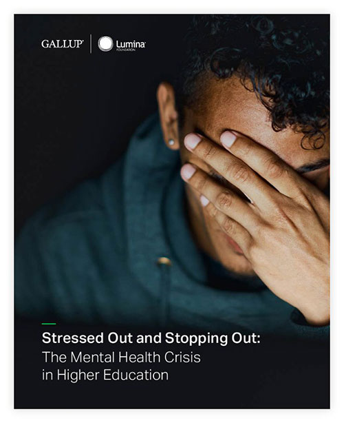 Example of 'Stressed Out and Stopping Out: The Mental Health Crisis in Higher Education,' report