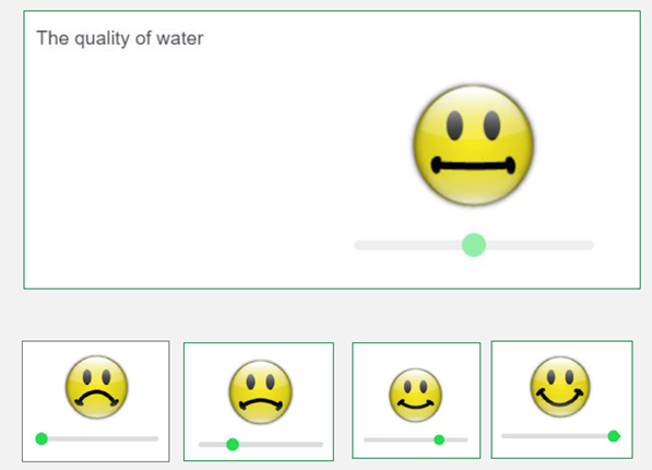 Image of emoji type scale with the slider appearing horizontally.