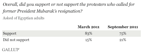 Support protesters Mubarak's resignation