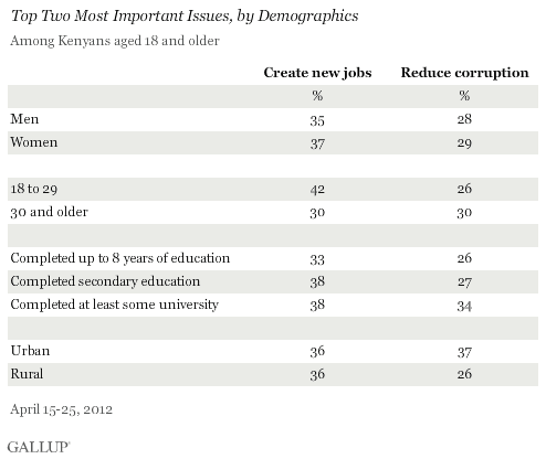 Top Two Most Important Issues, by Demographics