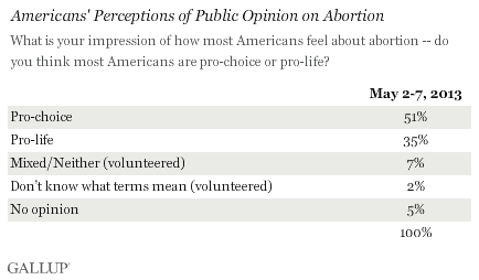 Americans' Perceptions of Public Opinion on Abortion