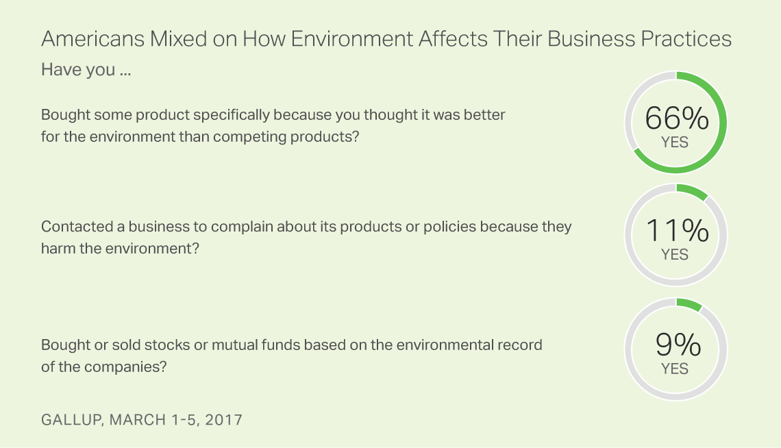 Americans Mixed on How Environment Affects Their Business Practices