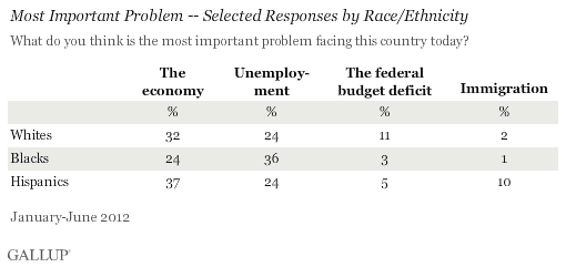 Most Important Problem -- Selected Responses by Race/Ethnicity