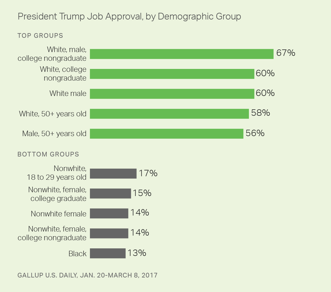 President Trump Job Approval, by Demographic Group