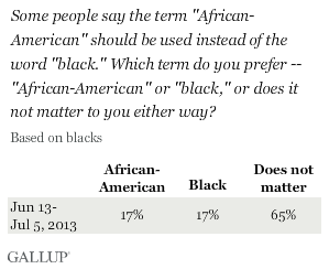 Some people say the term "African-American" should be used instead of the word "black." Which term do you prefer -- "African-American" or "black," or does it not matter to you either way?