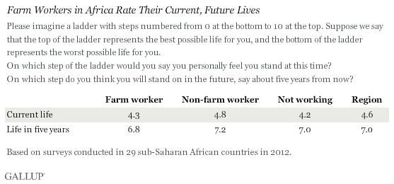 Farm Workers in Africa Rate Their Current, Future Lives