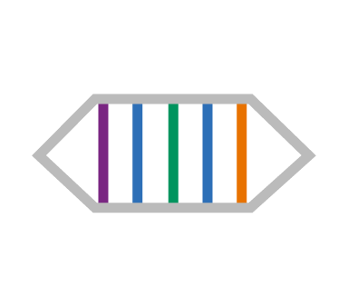 CliftonStrengths Top 5 DNA