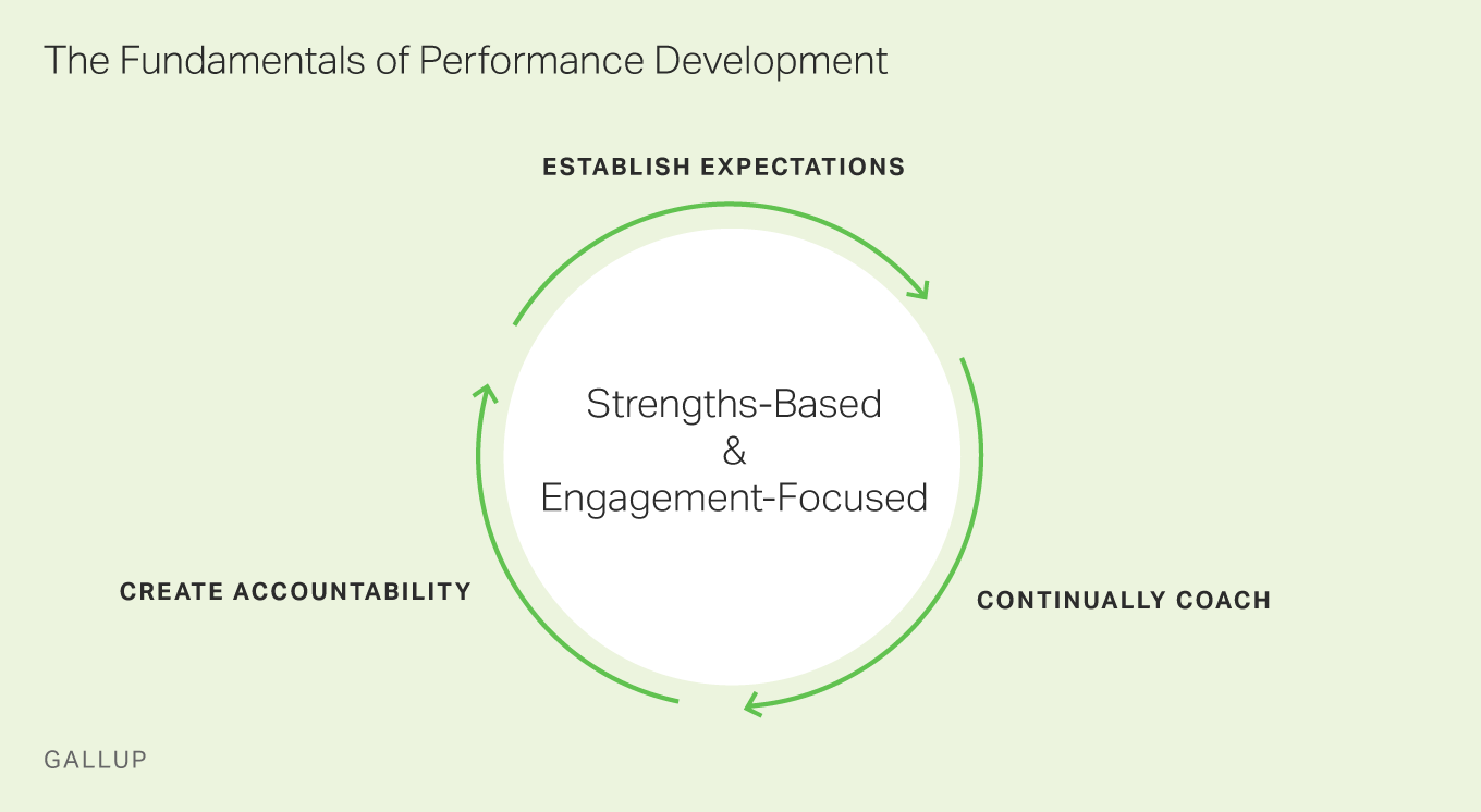 Fundamentals of Performance Development Model