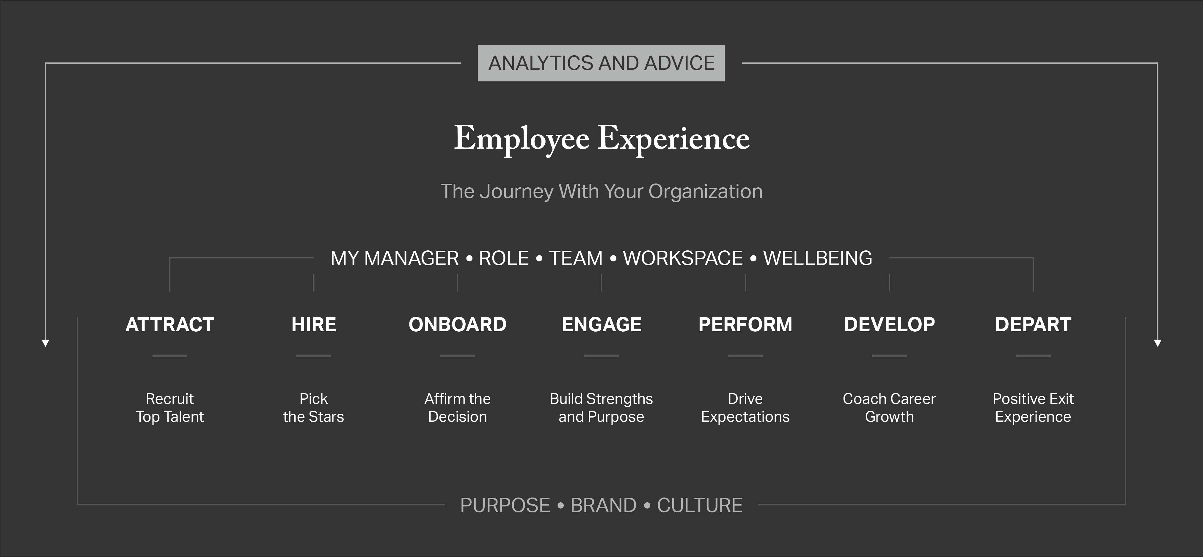 graphic showing the employee experience: attract, hire, onboard, engage, perform, develop and depart