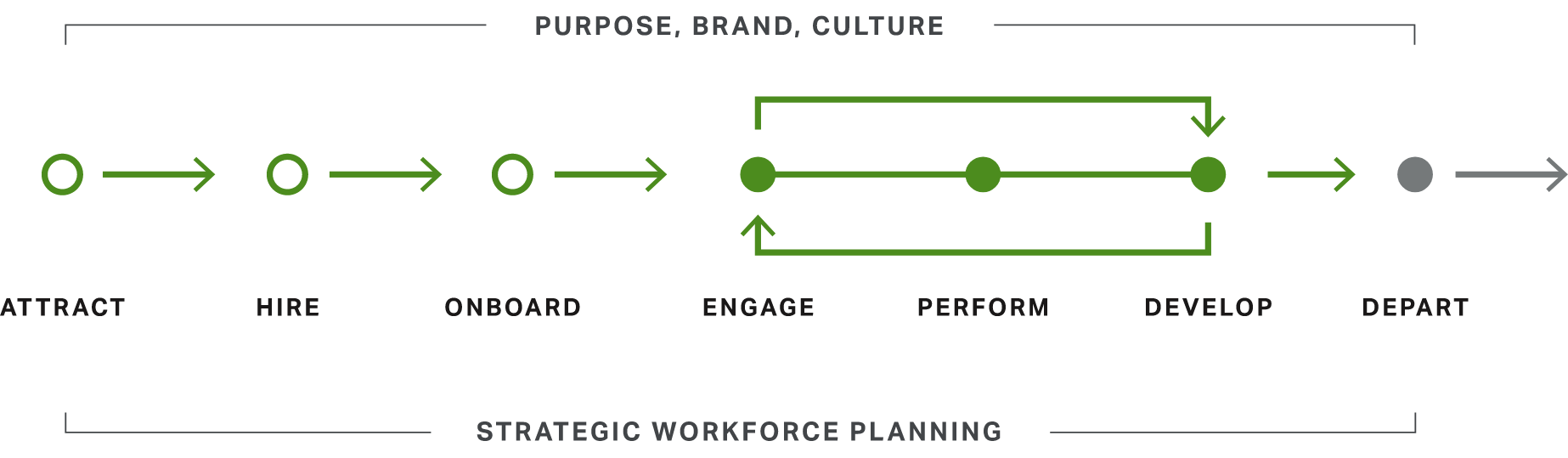 A flow chart displaying the 7 stages of the employee experience, which are: attract, hire, onboard, engage, perform, develop, and depart.