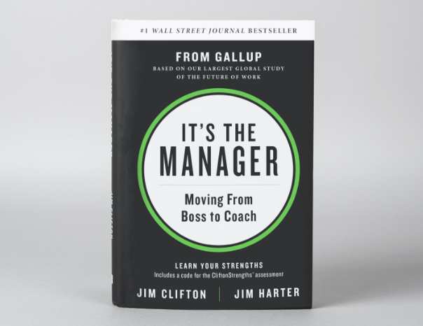 It’s the Manager book cover